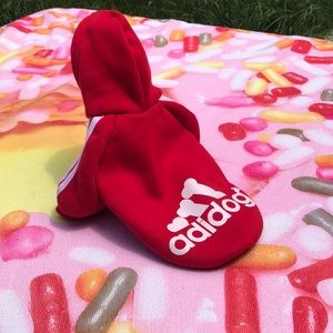 Small Adidog 🐶 Adidas dog hoodie